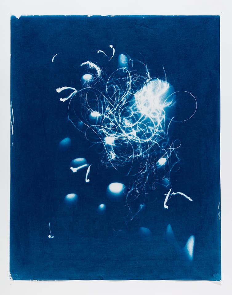<strong>Out of the Blue 1</strong>, Susan Aldworth, cyanotype, 59 x 47 cms, 2019. Photograph by Peter Abrahams.