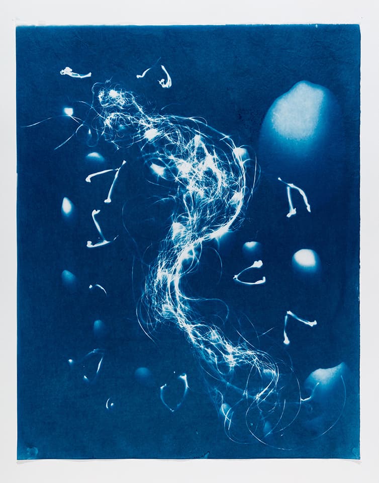 <strong>Out of the Blue 2</strong>, Susan Aldworth, cyanotype, 59 x 47 cms, 2019. Photograph by Peter Abrahams.
