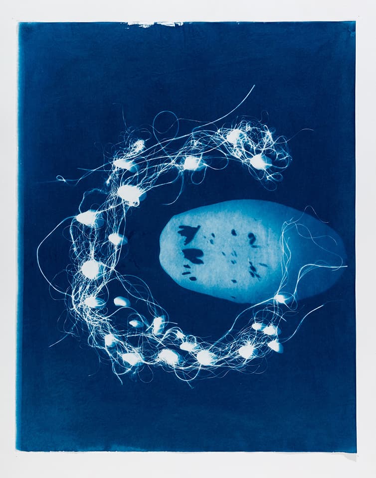 <strong>Out of the Blue 5</strong>, Susan Aldworth, cyanotype, 59 x 47 cms, 2019. Photograph by Peter Abrahams.