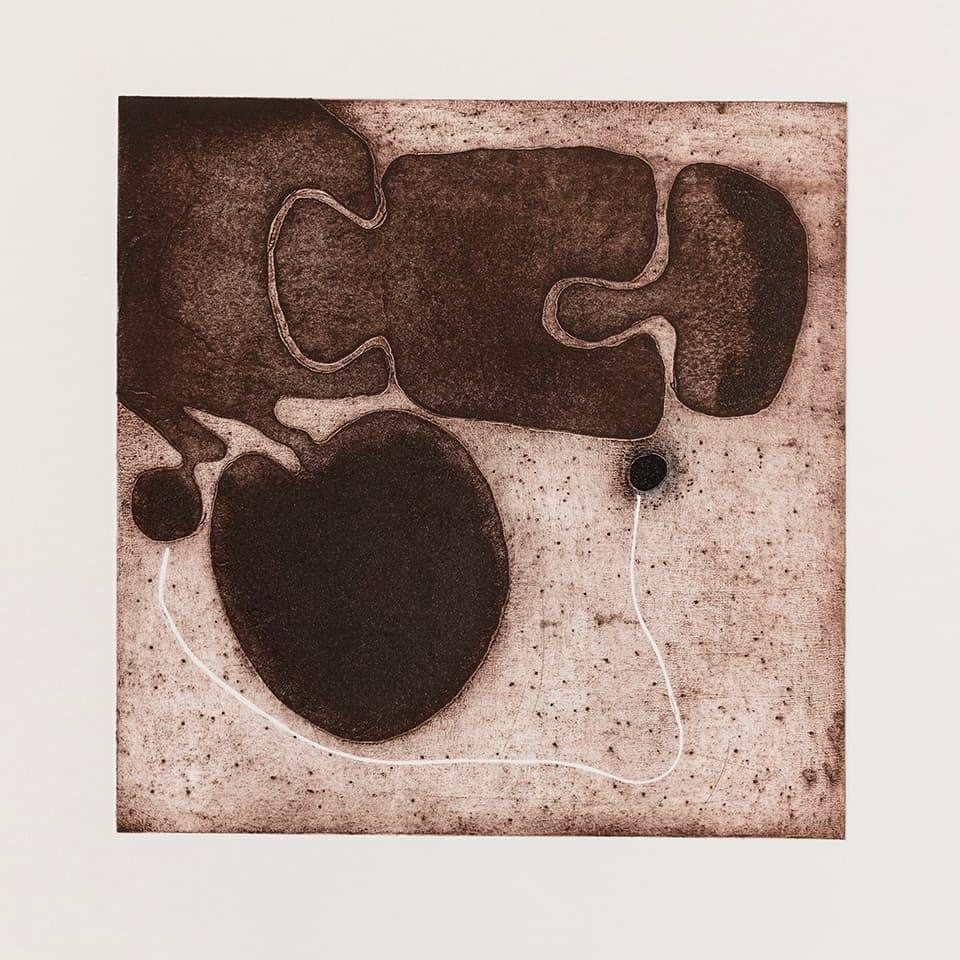 <strong>Respondences 5</strong>, Susan Aldworth, intaglio print, 37 x 37 cms, 2019. Photograph by Peter Abrahams.