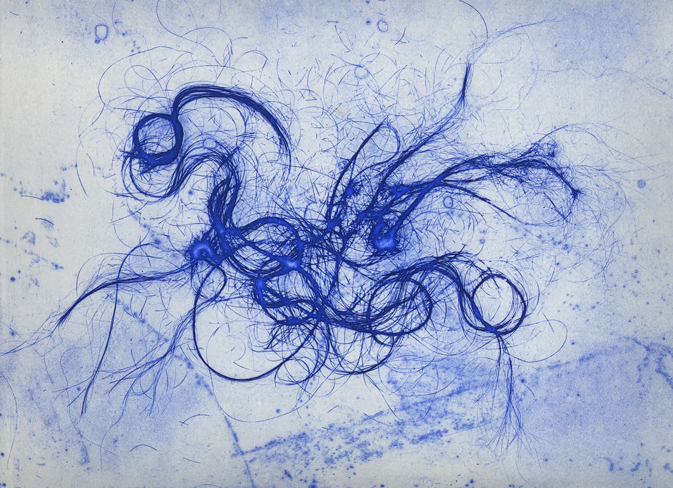 <strong>The Entangled Self 5</strong>, Susan Aldworth, etching, 25 x 31 cms, 2014.