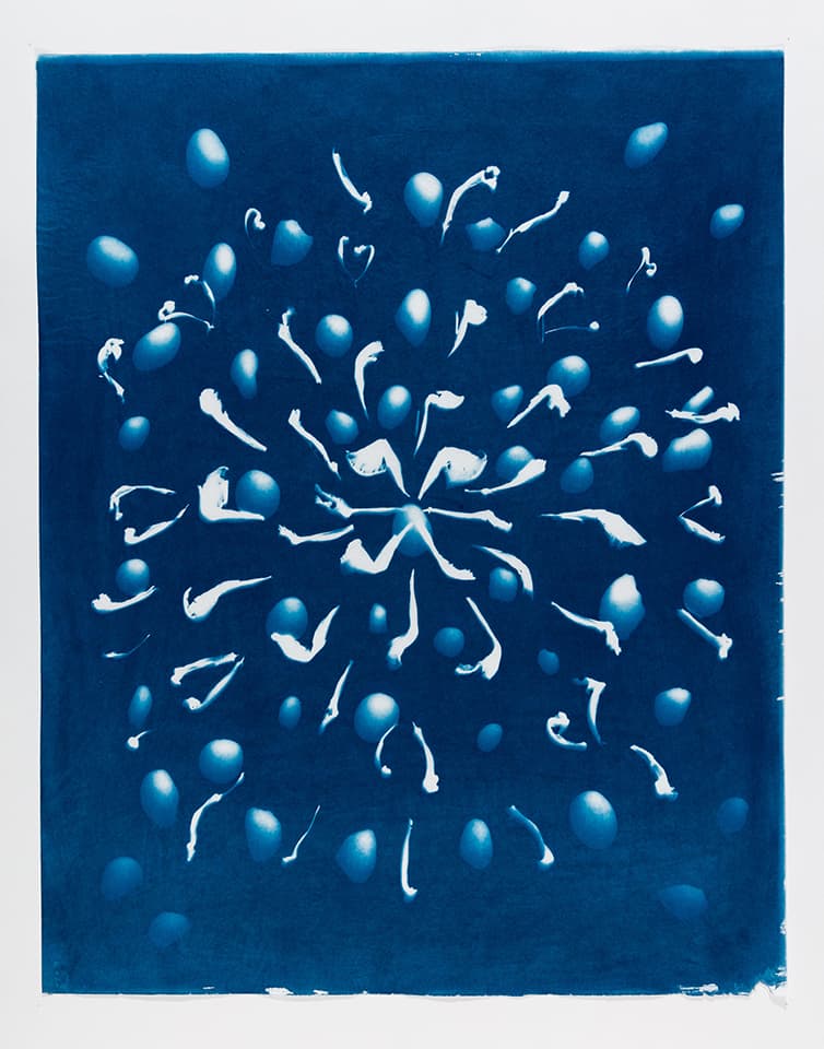 <strong>Out of the Blue 10</strong>, Susan Aldworth, cyanotype, 59 x 47 cms, 2019. Photograph by Peter Abrahams.