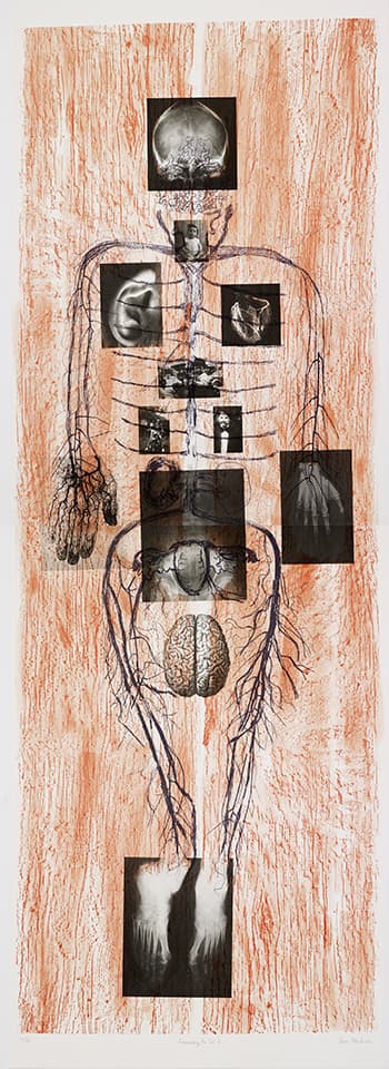 <strong>Reassembling the Self 7</strong>, Susan Aldworth, lithograph, 168 x 60 cms, 2012. Photograph by Anna Arca.
