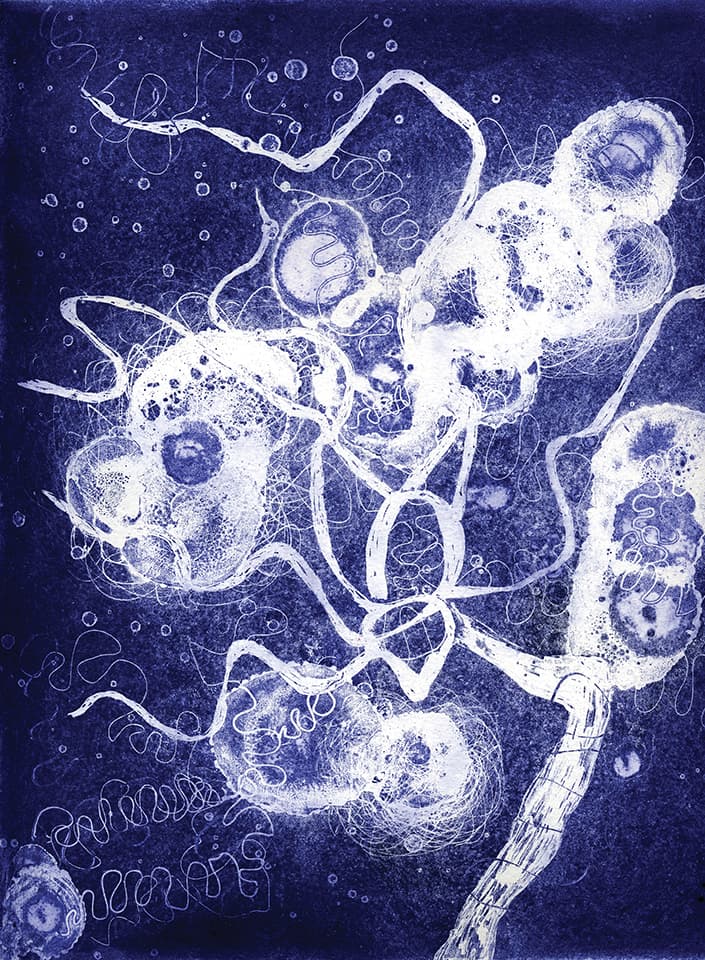<strong>Brainscape 21</strong>, Susan Aldworth, etching and aquatint, 30 x 35 cms, 2005.