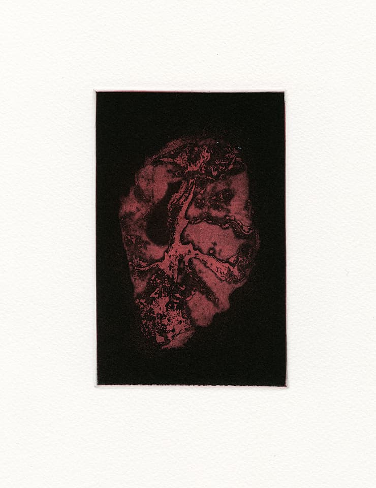 <strong>Transience 1</strong>, Susan Aldworth, etching and aquatint, 15 x 9 cms, 2013.