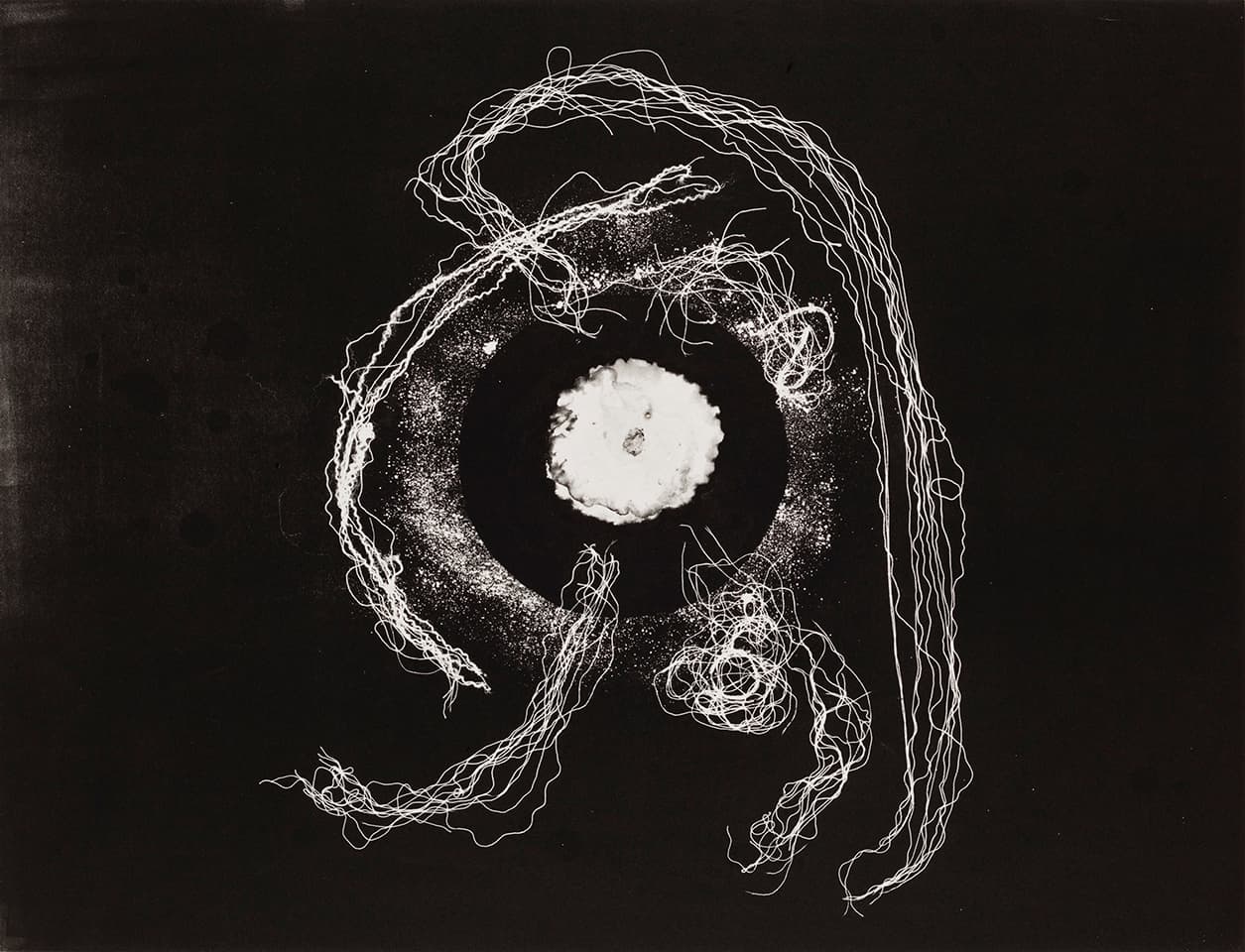 <strong>Heartwork  7</strong>, Susan Aldworth, monoprint, 56 x 76 cms, 2010. Photograph by Peter Abrahams.