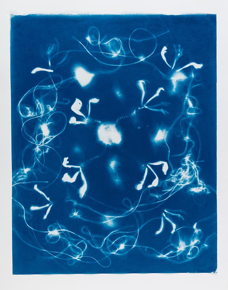 <strong>Out of the Blue 12</strong>, Susan Aldworth, cyanotype, 59 x 47 cms, 2019. Photograph by Peter Abrahams.