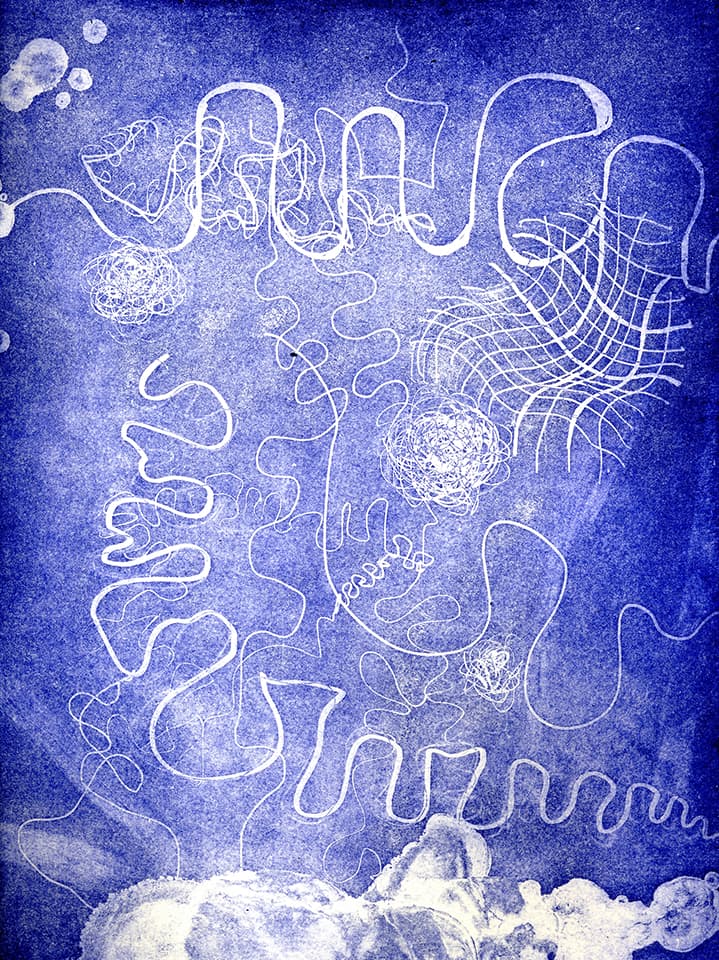 <strong>Brainscape 8</strong>, Susan Aldworth, aquatint and etching, 30 x 25 cms, 2005.