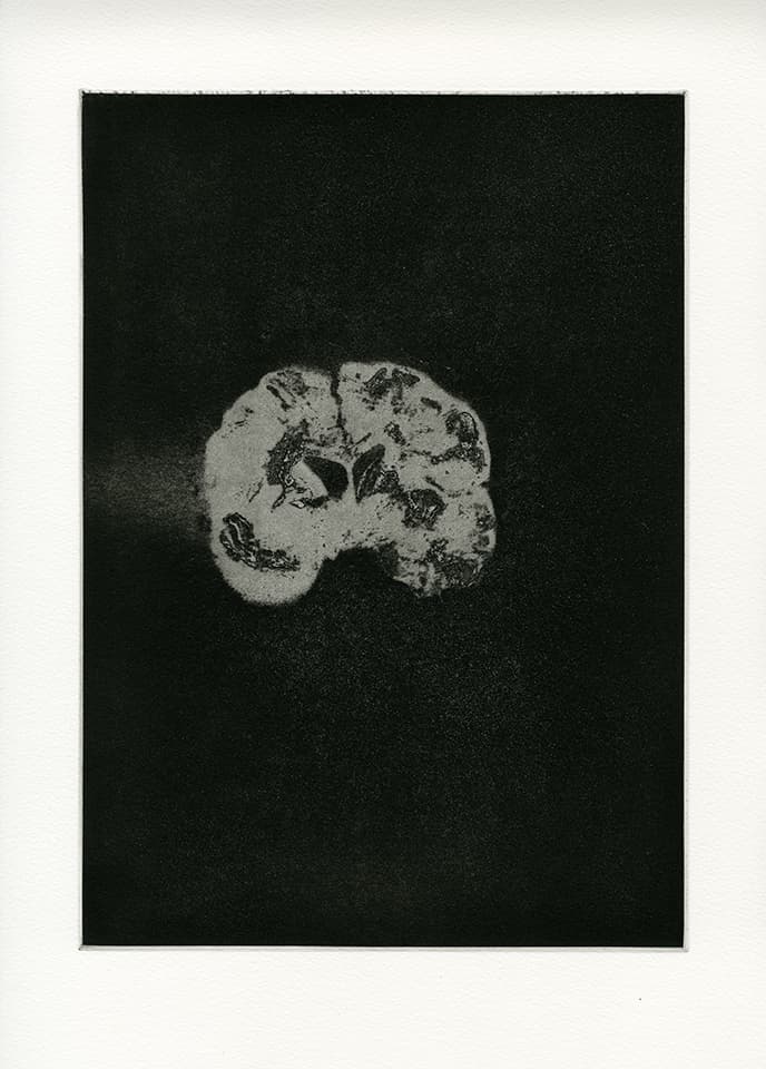 <strong>Transience 5</strong>, Susan Aldworth, etching and aquatint, 35 x 25 cms, 2013.