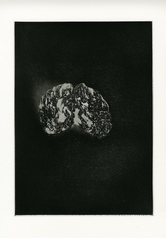 <strong>Transience 6</strong>, Susan Aldworth, etching and aquatint, 35 x 25 cms, 2013.