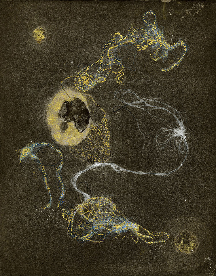 Modern Alchemy 10a, Susan Aldworth, etching, aquatint and monotype with gold leaf, 31 x 24.5 cms, 2023