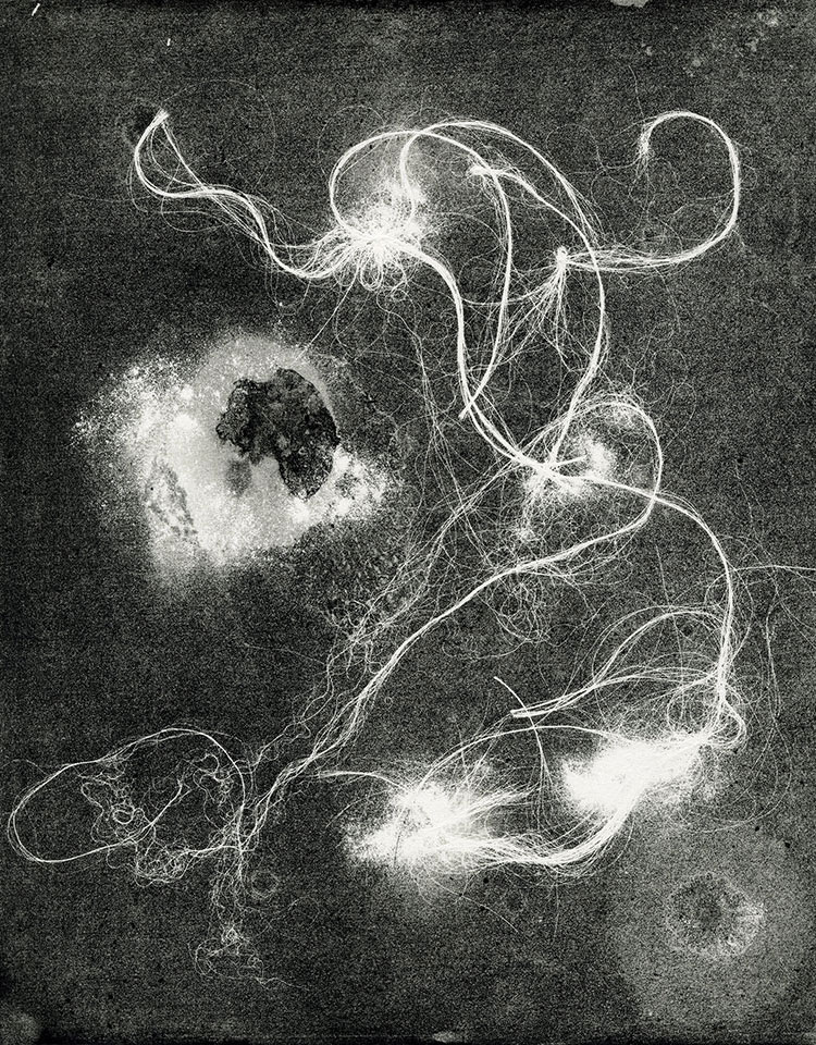 Modern Alchemy 10c, Susan Aldworth, etching, aquatint and monotype, 31 x 24.5 cms, 2023
