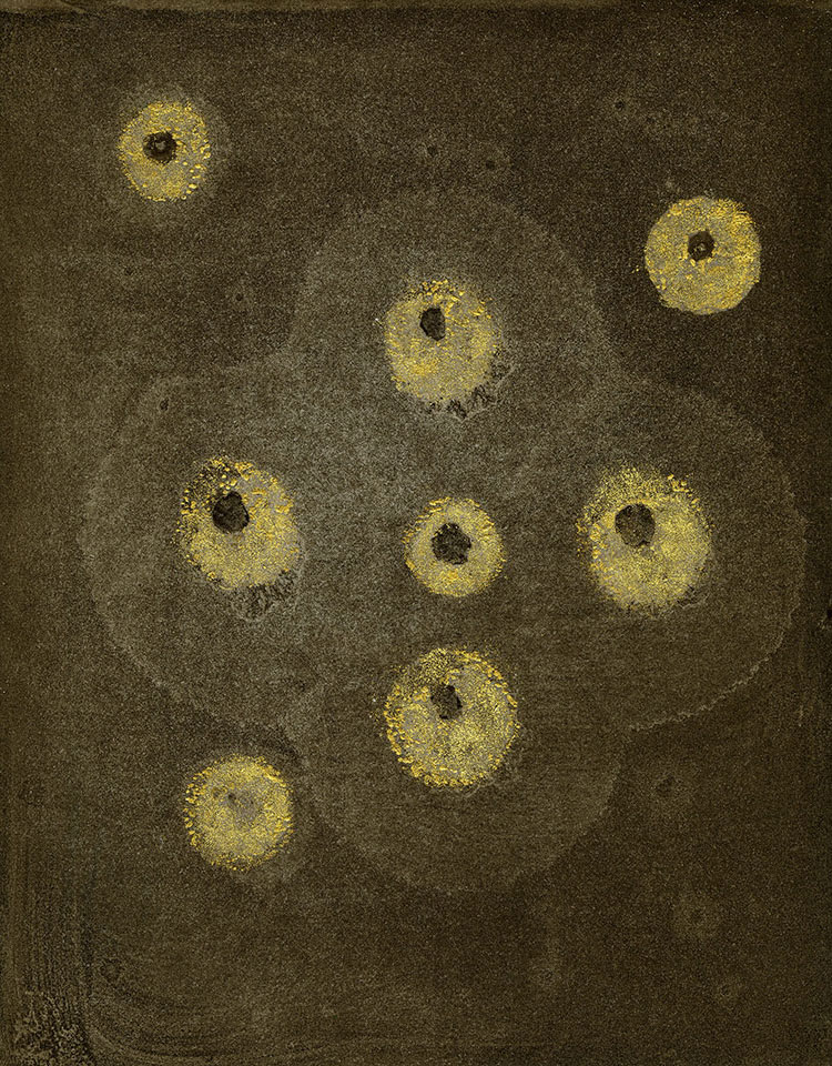 Modern Alchemy 12a, Susan Aldworth, etching, aquatint and monotype with gold leaf, 31 x 24.5 cms, 2023