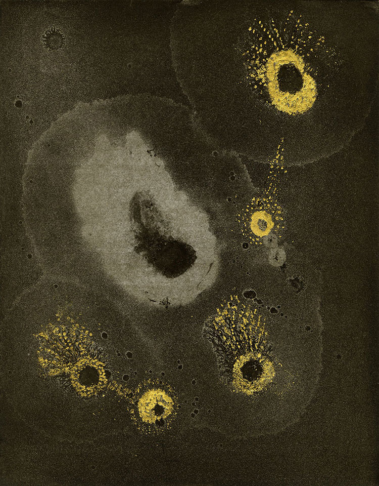 Modern Alchemy 13a, Susan Aldworth, etching, aquatint and monotype with gold leaf, 31 x 24.5 cms, 2023