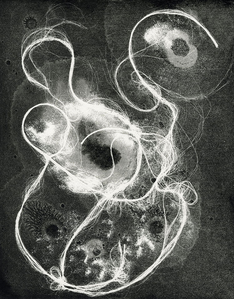 Modern Alchemy 13c, Susan Aldworth, etching, aquatint and monotype, 31 x 24.5 cms, 2023