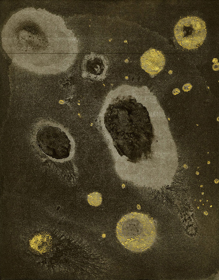 Modern Alchemy 9a, Susan Aldworth, etching, aquatint and monotype with gold leaf, 31 x 24.5 cms, 2023