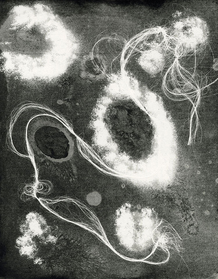 Modern Alchemy 9b, Susan Aldworth, etching, aquatint and monotype, 31 x 24.5 cms, 2023